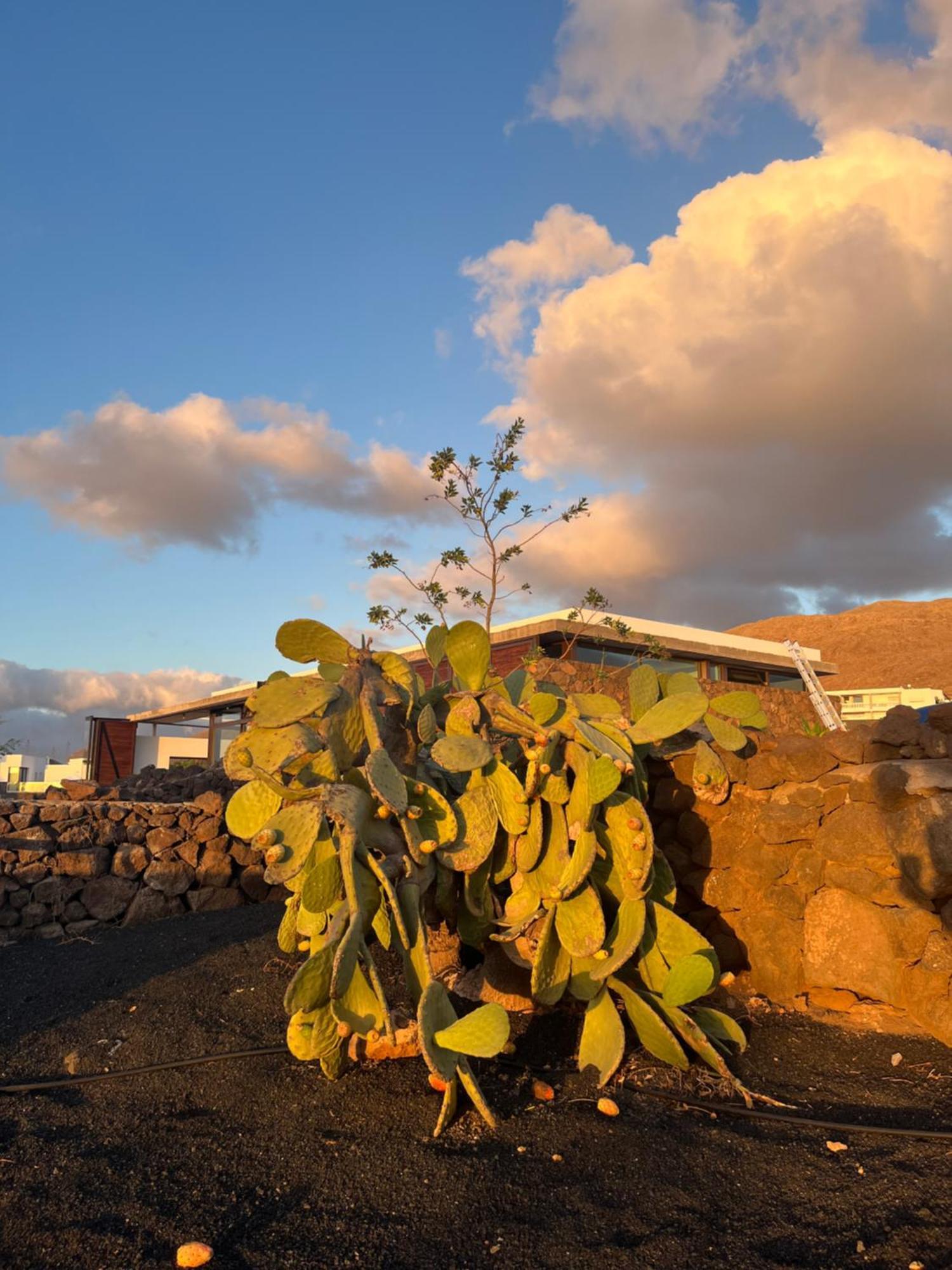 Finca Antigua Las Breñas Kültér fotó